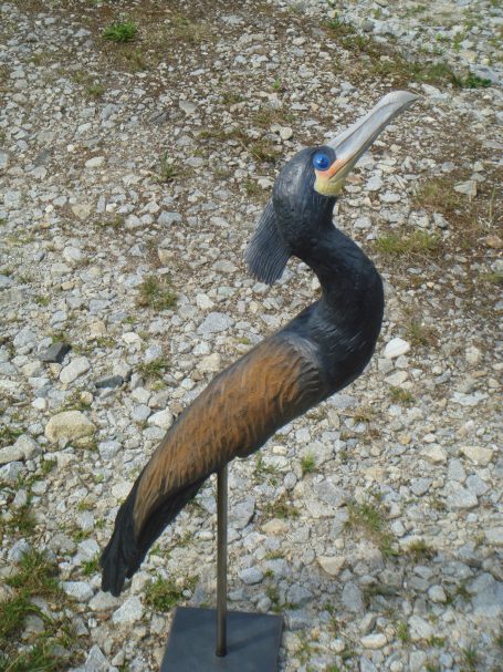 Kormoran