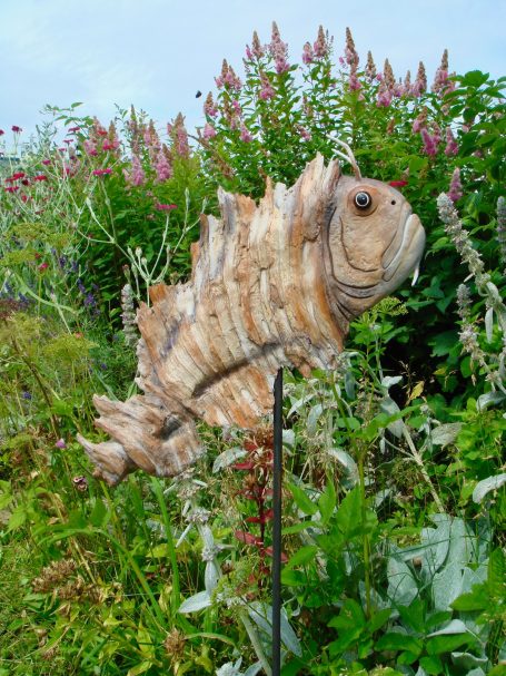 Feuerfisch Feuerfisch