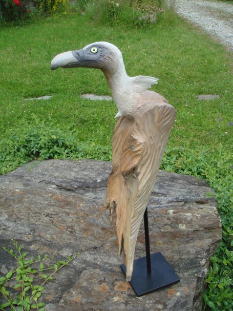 Kleiner Gänsegeier