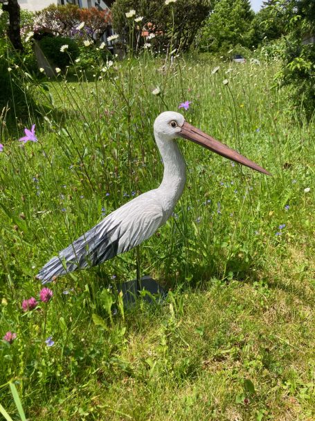 Kleiner Storch