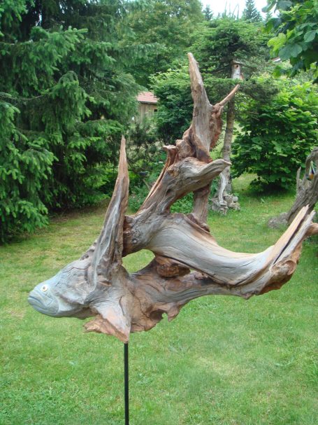 Großer Feuerfisch Großer Feuerfisch